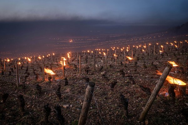 Comment organiser une visite des vignobles de la vallée de la Hunter en Australie?