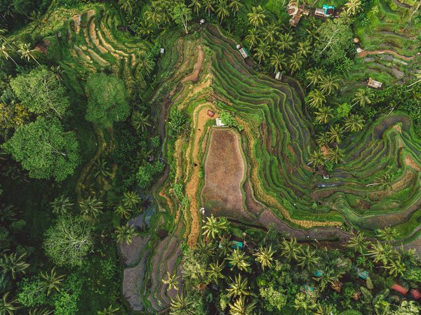 Où participer à un stage de yoga sur la plage en Bali?