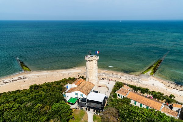 Où observer les baleines à bosse en Polynésie française?