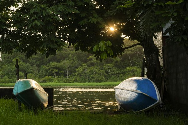 Où observer les tortues de mer en Floride, USA : périodes et meilleurs spots ?